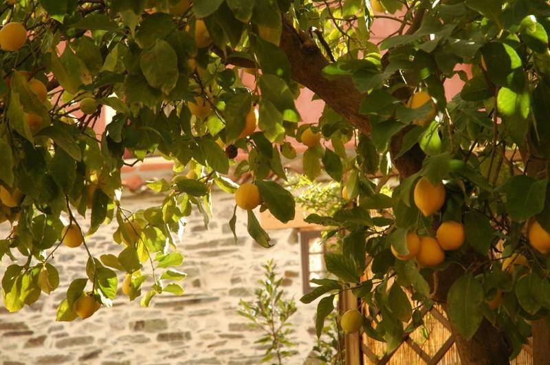 Casa Rural El Arco La Estrella  外观 照片